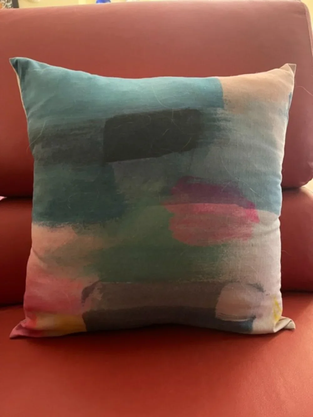 West Elm Decorative Indoor Cushions size 19